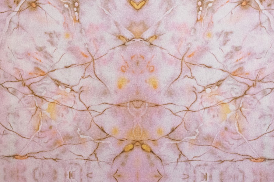 Het Wapen van Athlone - Kamer Charlotte 018