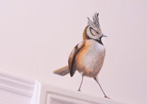 Het Wapen van Athlone - Kamer Isabelle 002