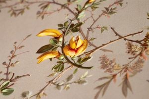 Het Wapen van Athlone - Kamer Ursula 016