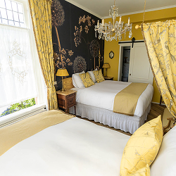 De Gele kamer - <br>Simon & Tiny Carmiggelt